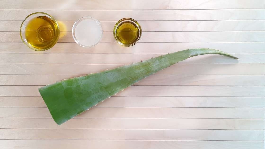 Cremă cu Aloe Vera cu ulei de măsline, de struguri și cocos, foto 2