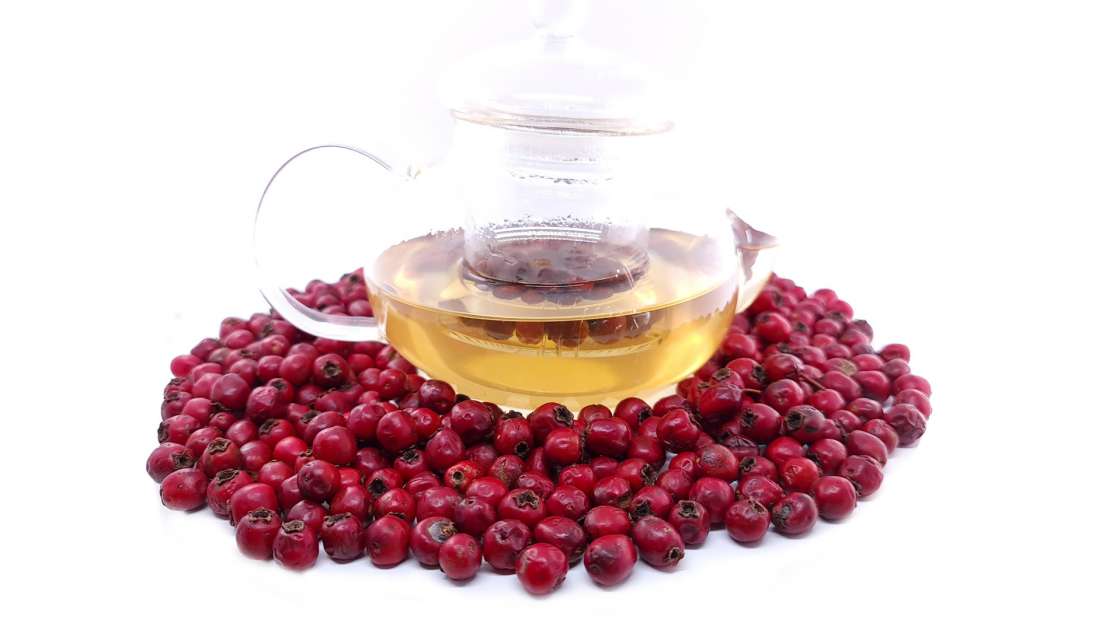 Deshidratare fructe de păducel, pentru ceai, foto 9