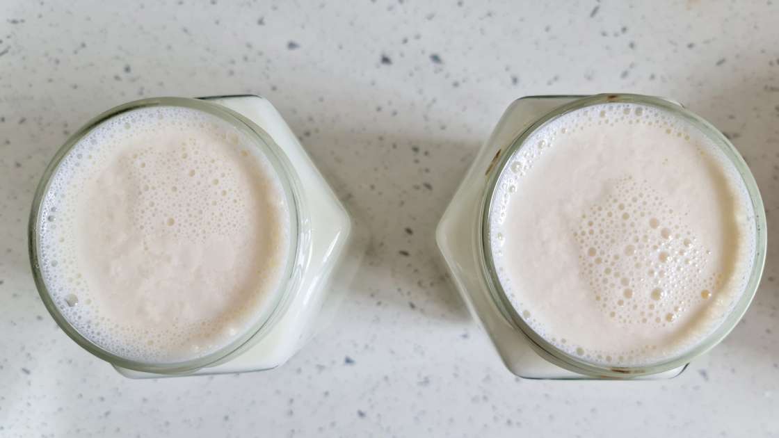 Iaurt de casă din lapte și smântână fermentată