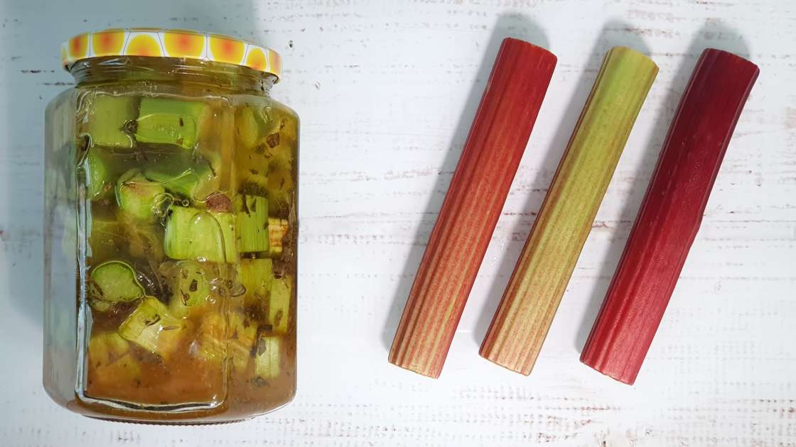 Macerat de rubarbă cu miere, ceai verde, mentă și diverse condimente, foto 4
