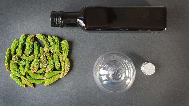 Ulei din muguri de pin, foto 7