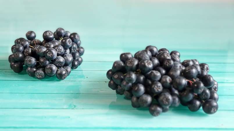 Sirop de aronia cu miere, foto 9
