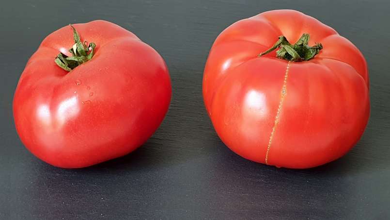 Suc fresh de roșii cu miere pentru întărirea oaselor și a articulațiilor, foto 2