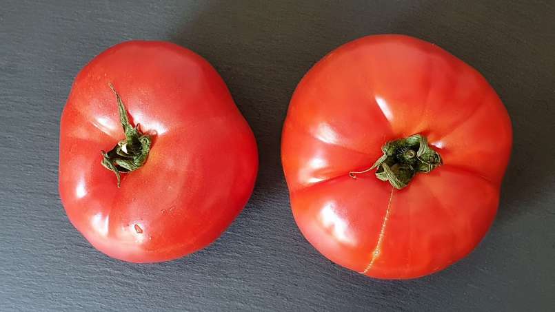 Suc fresh de roșii cu miere pentru întărirea oaselor și a articulațiilor, foto 3