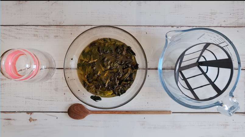 Ulei de urzică obținut prin transfer și folosind bain-marie, foto 11