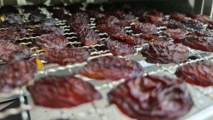 Prune uscate la deshidrator, foto 4