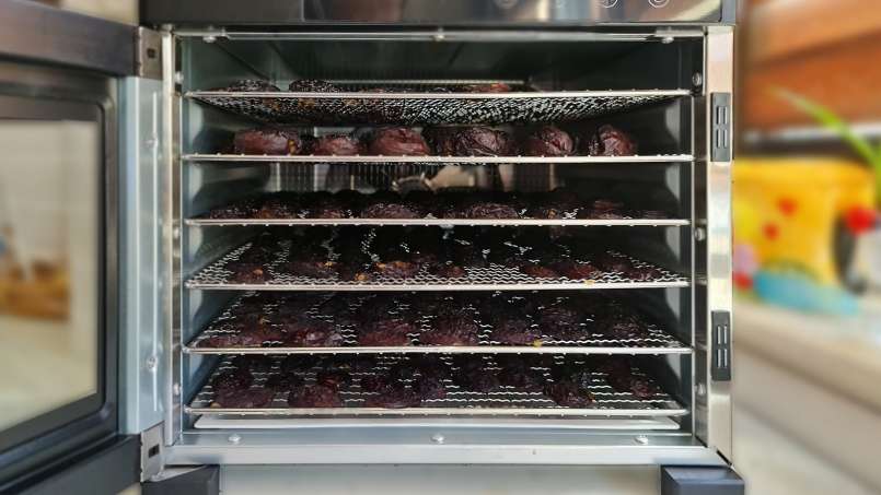Prune uscate la deshidrator, foto 5