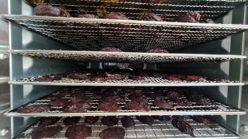 Prune uscate la deshidrator, foto 7