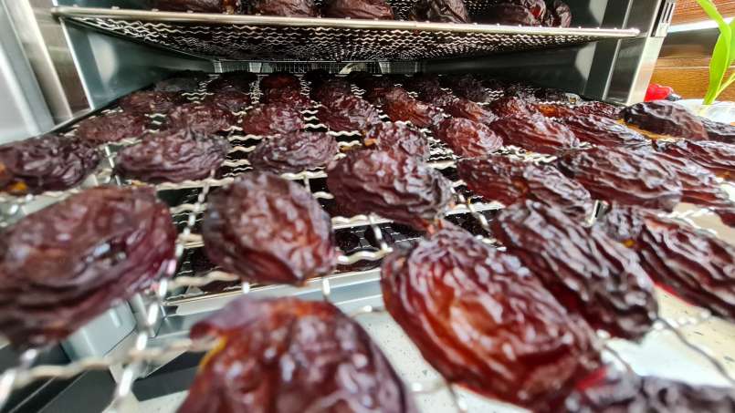 Prune uscate la deshidrator, foto 8