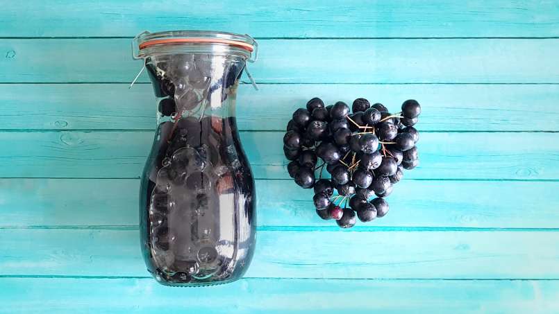 Aronia ciorchine cu miere la borcan, foto 2