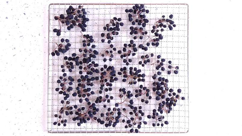 Uscare aronia la deshidrator, foto 2