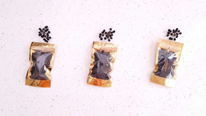 Uscare aronia la deshidrator, foto 11