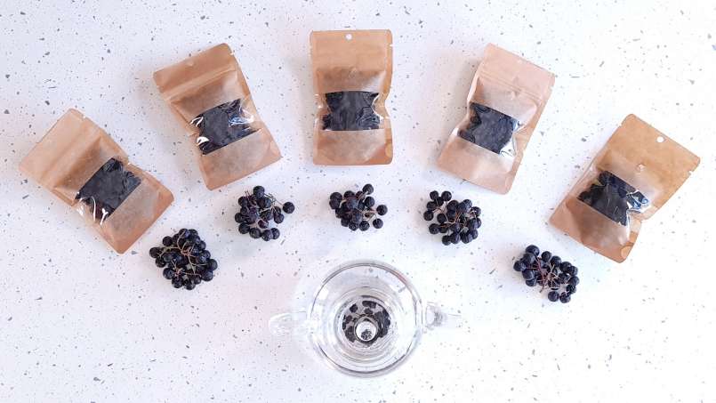 Uscare aronia la deshidrator, foto 13
