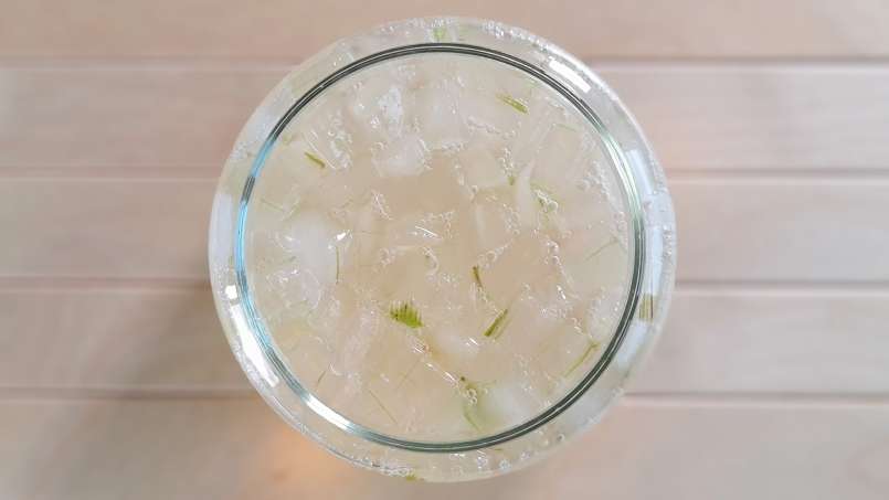 Macerat de Aloe Vera cu miere, foto 4
