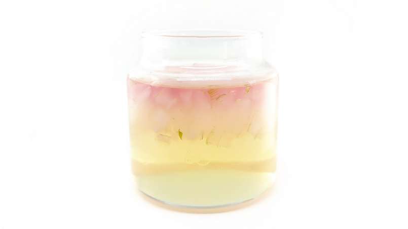 Macerat de Aloe Vera cu miere, foto 14