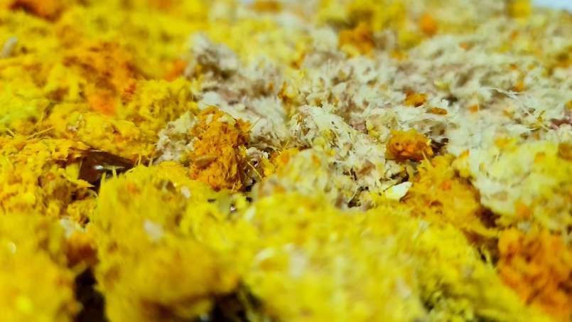 Concentrat antiinflamator de Ghimbir și Turmeric, foto 19