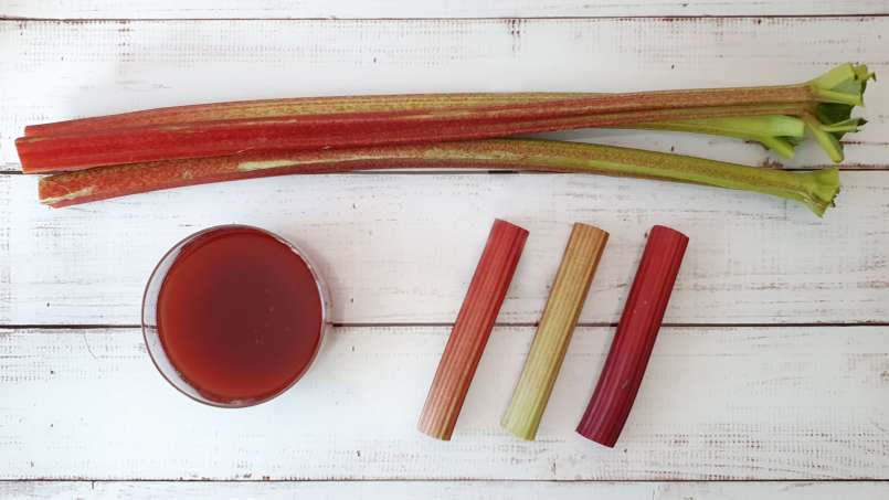 Sirop de rubarbă, foto 2