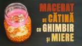 Macerat de cătină cu ghimbir și miere