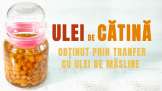 Ulei de cătină obținut prin transfer