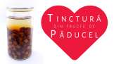 Tinctură din fructe de păducel proaspete